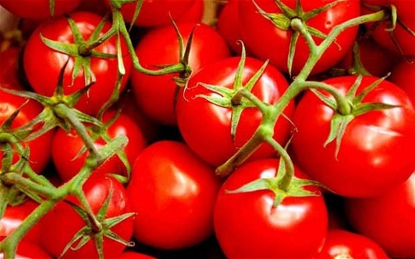 5[-]loại[-]rau[-]củ[-]khiến[-]bạn[-]trở[-]nên[-]“kỳ[-]quái”[-]3